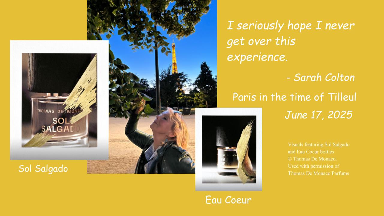 HERO Website Featured Image for Tilleul post